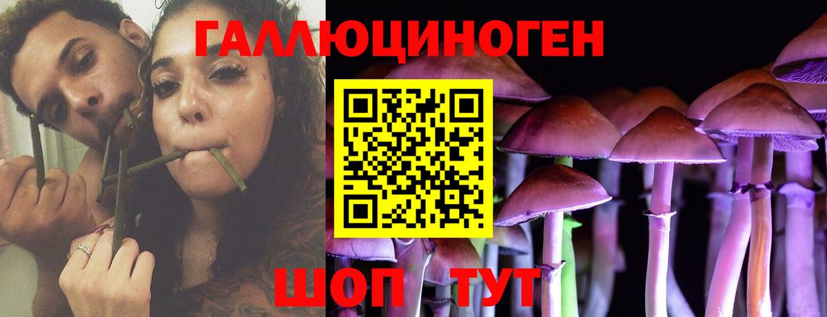 Псилоцибиновые грибы ЛСД Городец