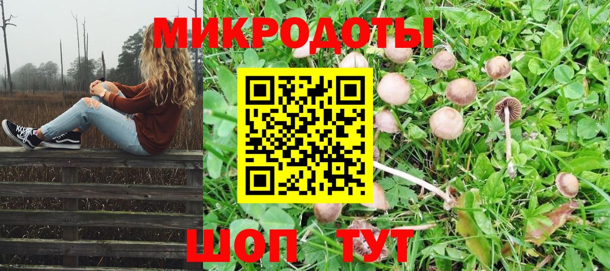 Псилоцибиновые грибы Psilocybine cubensis  как найти закладки  Галлюциногенные грибы мицелий  Городец  Вход с VPN 