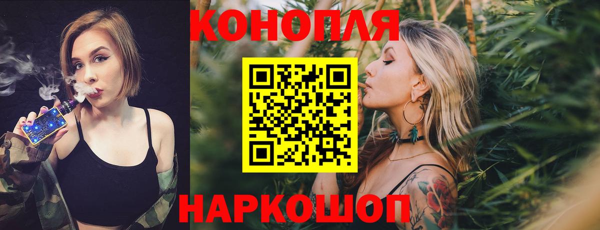 Конопля планчик Городец